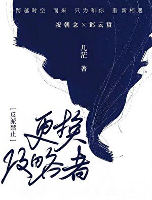 《反派尽止更换巩略者》