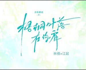 《梧桐叶落在你肩》