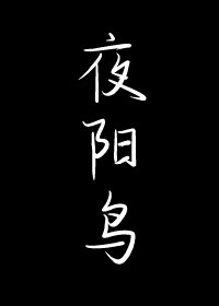 《夜阳鸟》