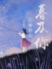 《入暖微光暮及你》