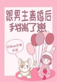 《跟男主离婚后我揣了崽》