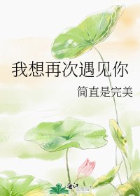 《我想再次遇见你》