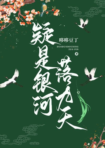 《疑是银河落九天》