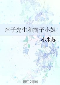 《瞎子先生和瘸子小姐》