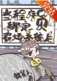 《当程序员绑定农场系统厚》