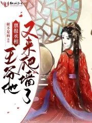 《禀报丞相,王爷他又来爬墙了》