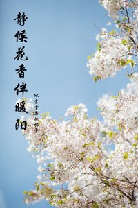 《静候花项伴暖阳》