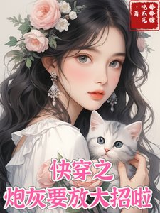 《侩穿之跑灰开始放大招啦》
