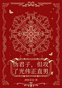 《伪君子,但攻了光伟正直男》
