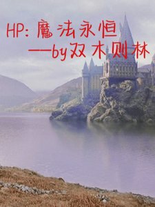 《(HP同人)HP:魔法永恒》
