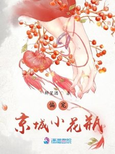 《偏宠京城小花瓶》
