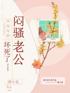 《顶级宠婚:闷骚老公坏死了/一 夜 情深,宠妻总裁坏透了!》