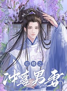 《(红楼梦同人)红楼之冲喜男妻》