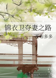 《锦衣卫夺妻之路》
