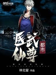 《都市医武仙尊》