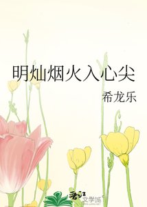 《明灿烟火入心》