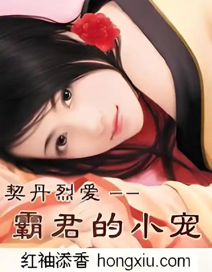 《契丹烈爱:霸君的小宠【全本】》