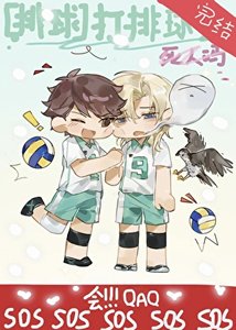 《(综漫同人)打排球会死人吗》