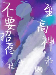《不要招惹至高神》
