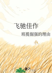 《飞驰佳作》