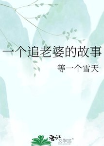 《一个追老婆的故事》