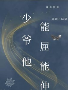 《少爷他能屈能甚》