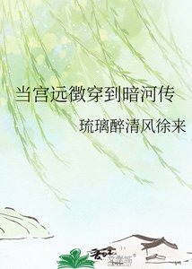 《当宫远徴穿到暗河传》