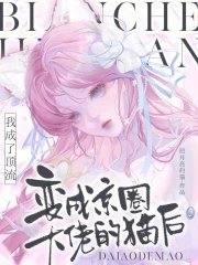 《变成京圈大佬的猫后我成了顶流》