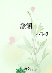 《涨潮》
