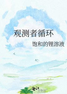 《观测者循环》