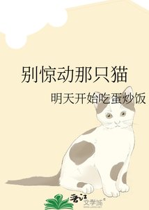 《别惊动那只猫》
