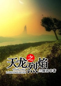 《天龙之烈焰》