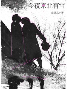 《今夜京北有雪》