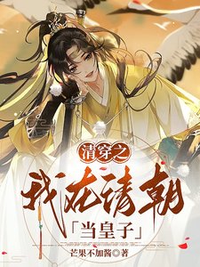 《清穿之我在清朝当皇子》