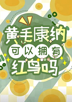 （综英美同人）[综英美]黄毛康纳可以拥有红鸟吗