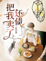 把我卖了还债