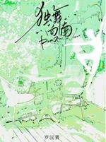 《独舞向南》