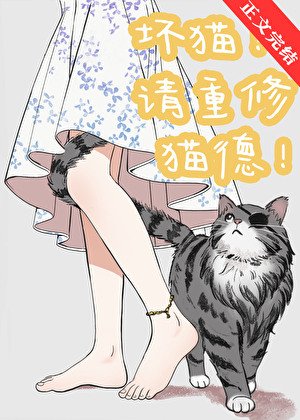 坏猫！请重修猫德！