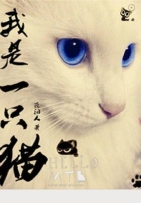 《我是一只猫》