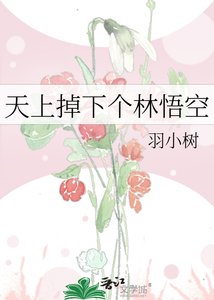 《天上掉下个林悟空》