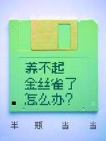 《养不起金丝雀了怎么办?》