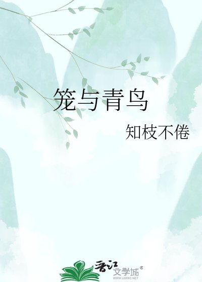 笼与青鸟