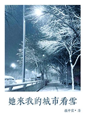 《她来我的城市看雪》