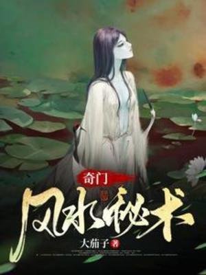 《奇门风谁秘术》