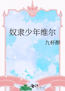 《奴隶少年维尔》