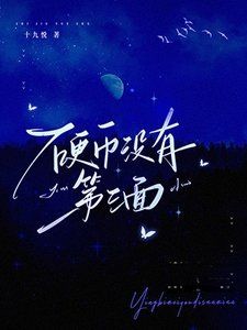 《硬币没有第三面》