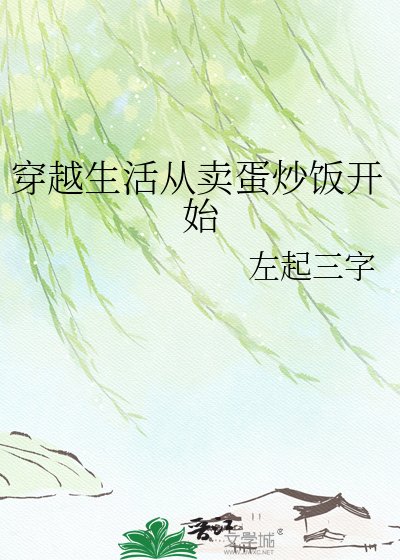 《穿越生活从卖蛋炒饭开始》