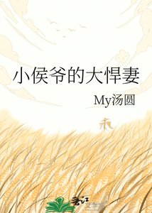 《小侯爷的大悍妻》