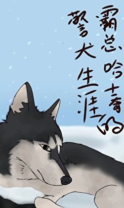 《霸总哈士奇的警犬生涯》