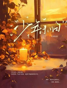 《少年未归》